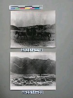 藏品(熱河騾馱轎)的圖片